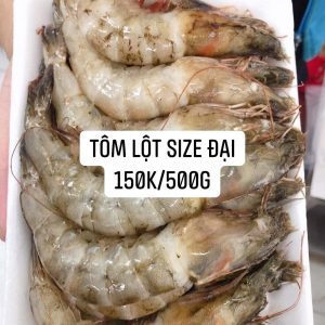 Tom Lot Size Dai 150k