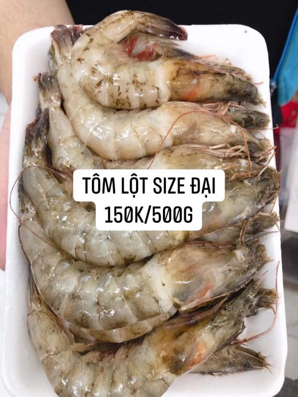 Tom Lot Size Dai 150k