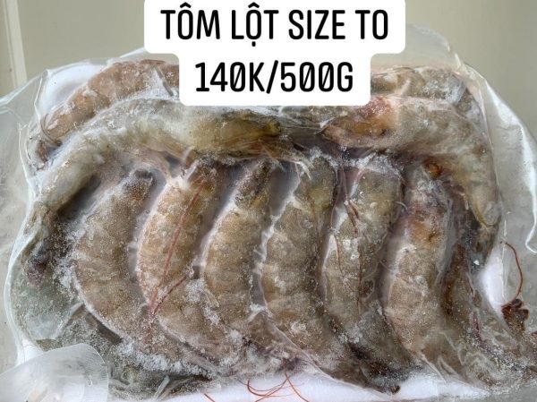 Tom Lot Size To 140k 500g